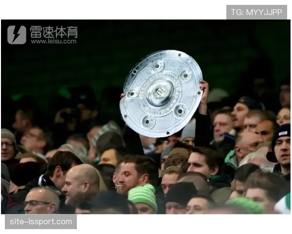 调查显示:德甲联赛全球转播收入增长,亚洲市场贡献率提升